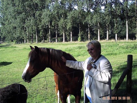 dr.Szőllősy-András Judit